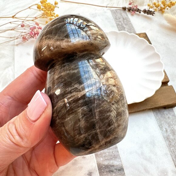 Gorgeous Black Moonstone Mushroom Carving - Picture 6 of 8